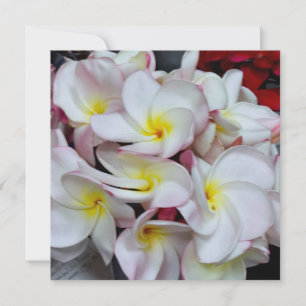 Rosa‑kantade Plumeria‑blommor – Tropiskt blomsterd Anteckningskort