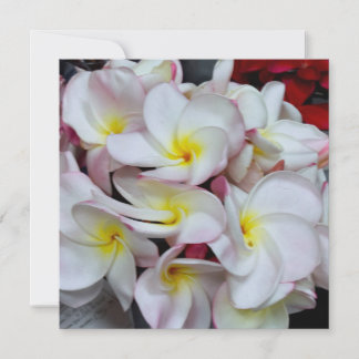 Rosa‑kantade Plumeria‑blommor – Tropiskt blomsterd Anteckningskort