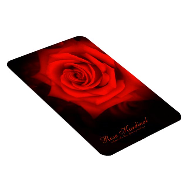 Rosa Kardinal [Flex Photo Magnet] Magnet (Högersidan)