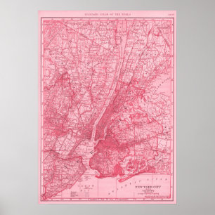 Rosa Karta i New York City Poster