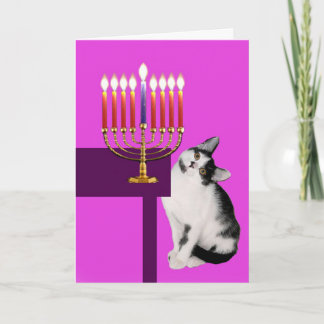 Rosa katt- och menoraHanukkah kort