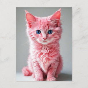 Rosa katt vykort