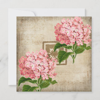 Rosa klasar av hortensia Platt välkomstkort