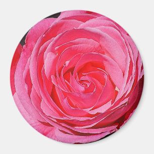 Rosa Klimatning Ro Magnet