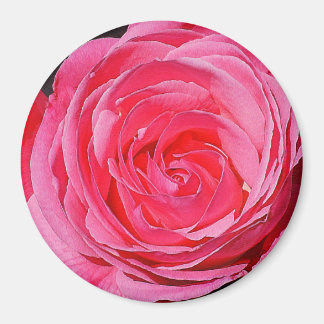 Rosa Klimatning Ro Magnet