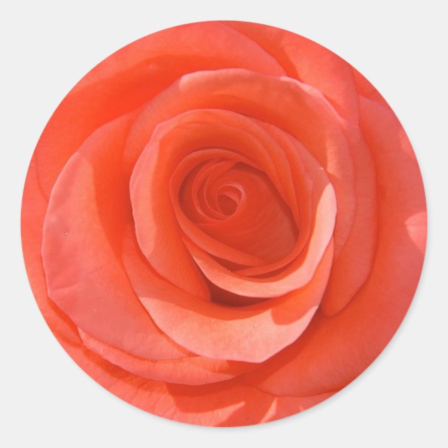 Rosa klistermärke (Framsida)