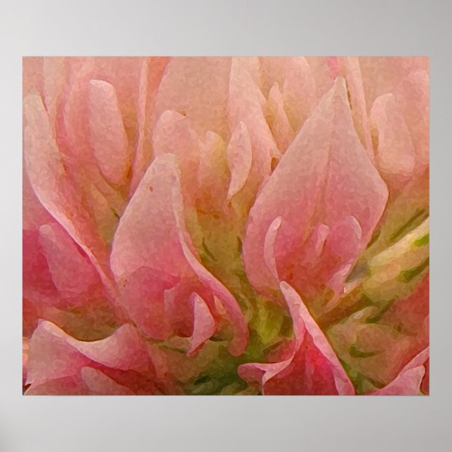 Rosa Klöver Poster (Framsidan)