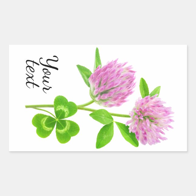 Rosa klöver rektangulärt klistermärke (Framsida)