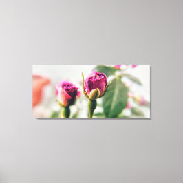 Rosa-knapp ro i nära anslutning canvastryck