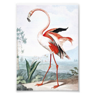 Rosa konst för Flamingofågelvintage Fototryck