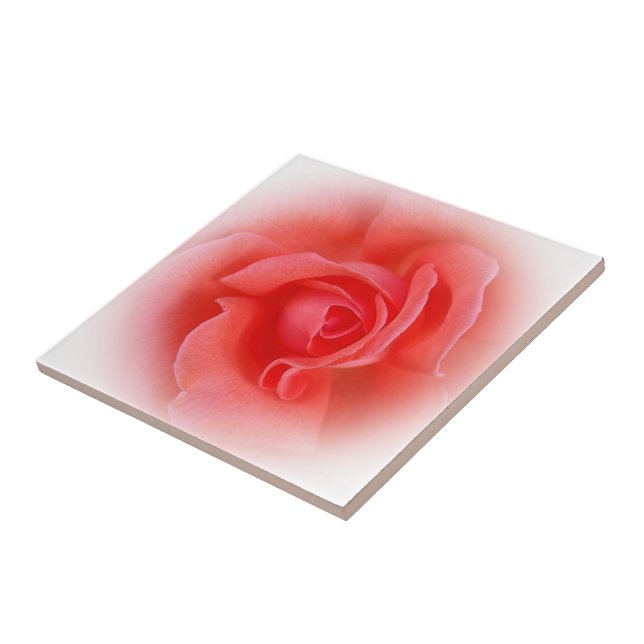 rosa koral ro kakelplatta (Sidan)