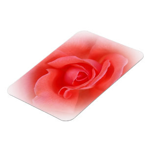 rosa koral ro magnet