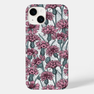 Rosa kornblommor, vild blommor på vitt