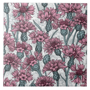 Rosa kornblommor, vild blommor på vitt kakelplatta