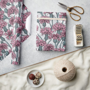 Rosa kornblommor, vild blommor på vitt presentpapper