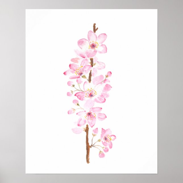 rosa körsbär blommar rosa sakura vattenfärgssmärta poster (Framsidan)