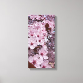 Rosa Körsbärsblom Konst på Canvas – Sakuraträd