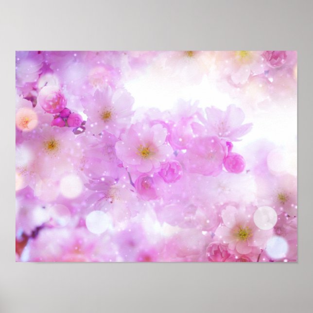 Rosa körsbärsblomfotografier poster (Framsidan)