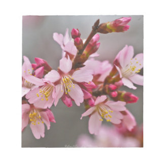 Rosa Körsbärsblommor Mot En Grå Himmel Japanska Kö Anteckningsblock