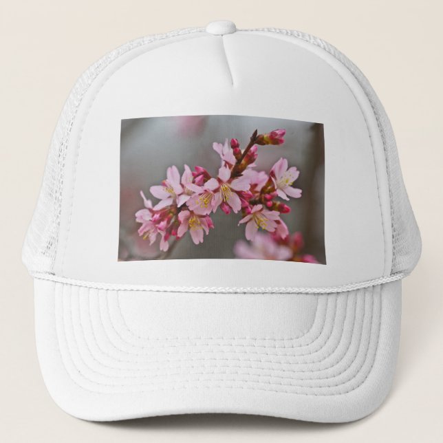 Rosa Körsbärsblommor Mot En Grå Himmel Japanska Kö Keps (Framsida)