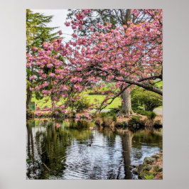 Rosa körsbärsblommor och dammfotografisk poster