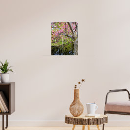 Rosa körsbärsblommor vid damm poster