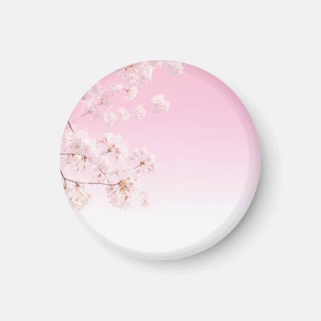 Rosa körsbärsblommors vårserenitet magnet (Framsidan)