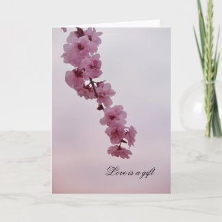 Rosa körsbärsblomning kort