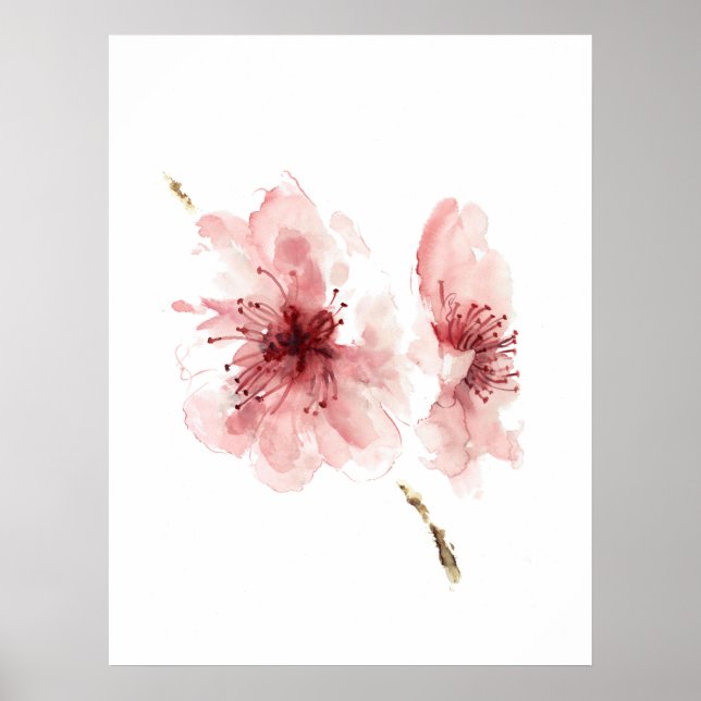 Rosa körsbärsvit blommar poster sakura (Framsidan)