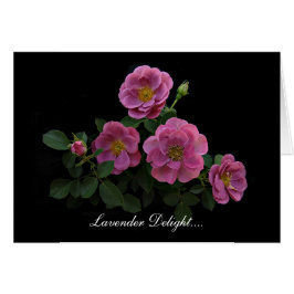 Rosa kort av Stan Rosemanen