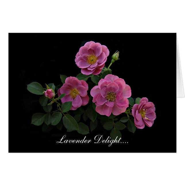 Rosa kort av Stan Rosemanen (Framsidan Horizontal)