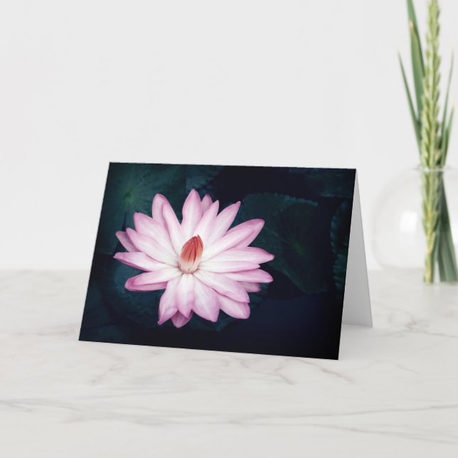 Rosa kort för lotusblommablommahälsning (Framsida)