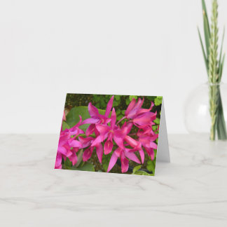 Rosa kort för Orchidstillfällenanpassade