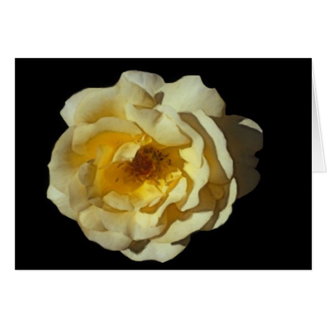 Rosa kort för WhiskyMac (Framsidan Horizontal)