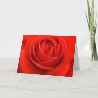 Rosa kort som är röda
