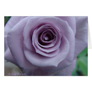 Rosa kortdesign för sterling silver hälsningskort