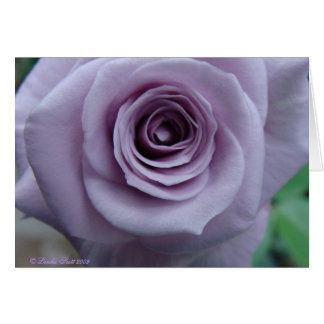 Rosa kortdesign för sterling silver hälsningskort