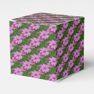 Rosa Kosmosblomma Naturmönster Presentaskar