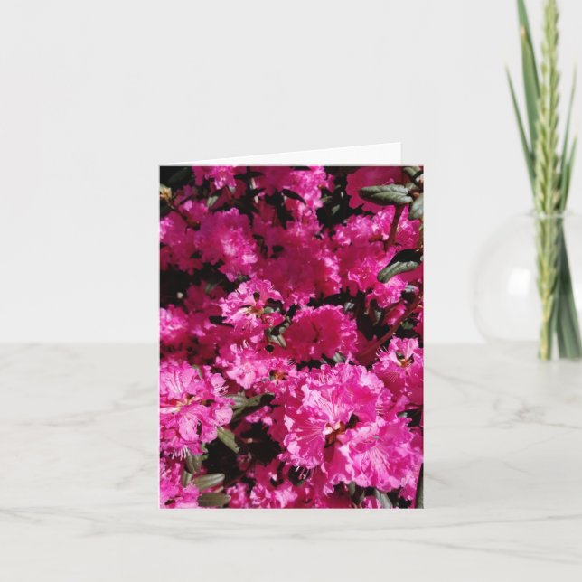 Rosa kräppblommor i trädgården helgkort (Framsida)