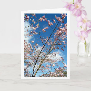 Rosa kronblad i blå himmel landskap kort