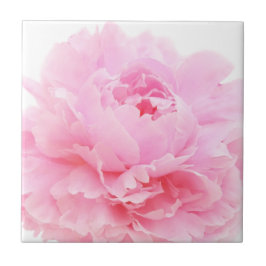 rosa kronblad kakelplatta