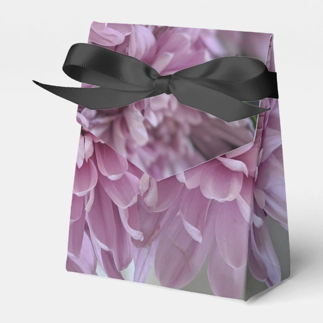 rosa krysantemum blomfoto presentaskar (Framsidan Sidan)