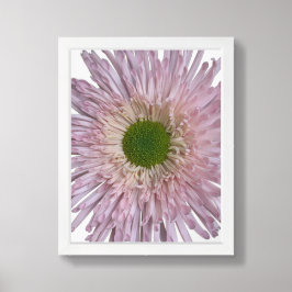Rosa krysantemum blommar blom poster