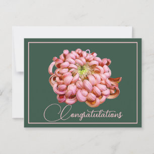 Rosa Krysantemum Grön Bakgrund Grattis Vykort