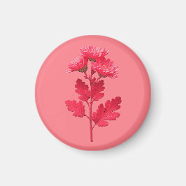 Rosa Krysantemum Magnet