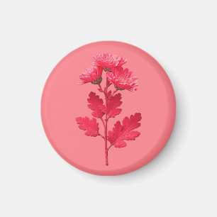 Rosa Krysantemum Magnet