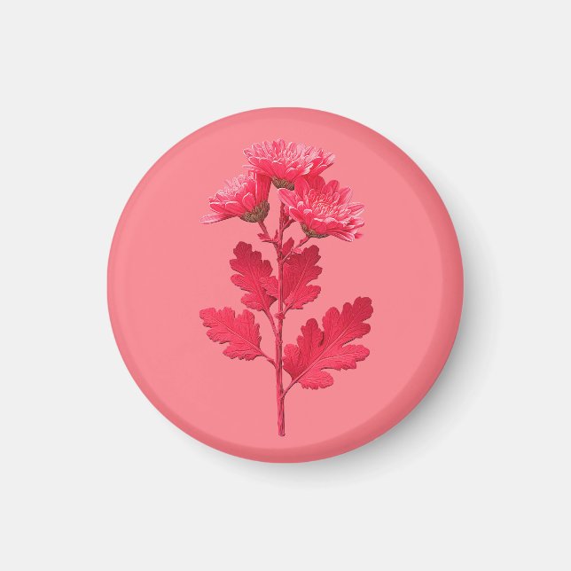Rosa Krysantemum  Magnet (Framsidan)