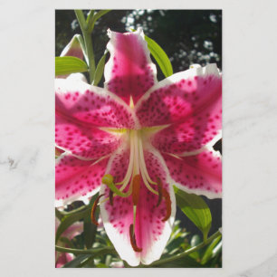Rosa Läckar rosa tropiska blommor rosa blommigt Brevpapper