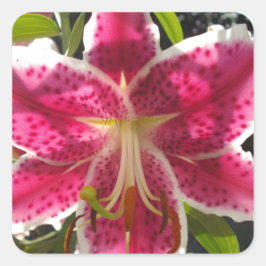 Rosa Läckar rosa tropiska blommor rosa blommigt Fyrkantigt Klistermärke