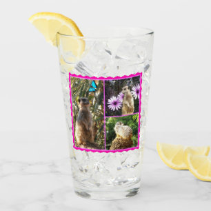 Rosa Lacy Meerkat Collarge Glaskopp